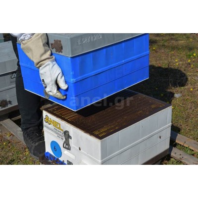 Queen excluder plastic