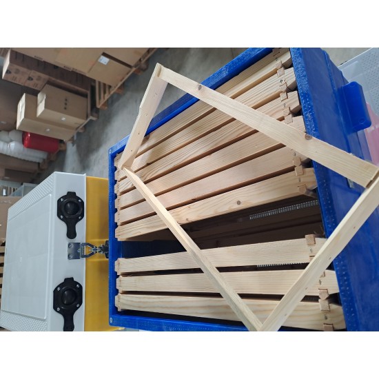 Plastic hive, simple