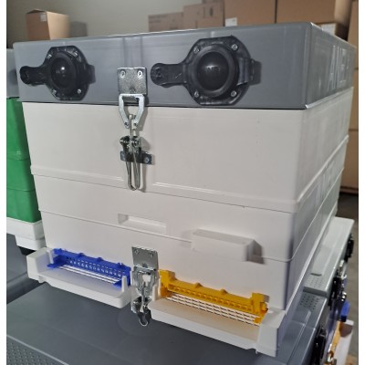 Plastic hive, simple