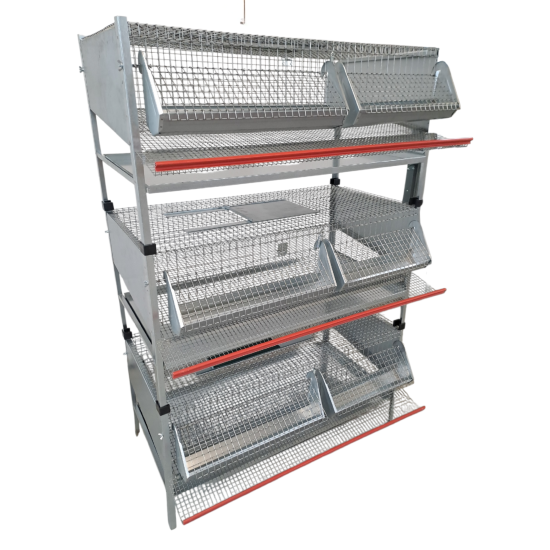 Quail cage 50 x 100 cm