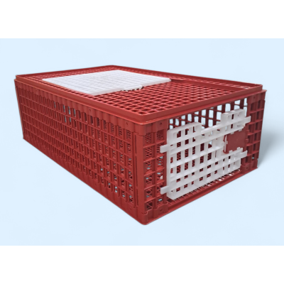Poultry transport plastic crate