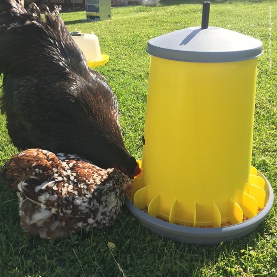 Poultry feeder, 20 litres plastic