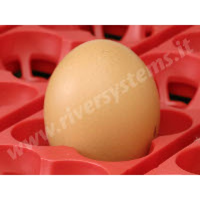 ET SUPER 49, BIO MASTER automatic hatcher