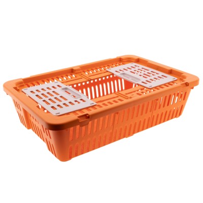 Chick transport plastic compartment