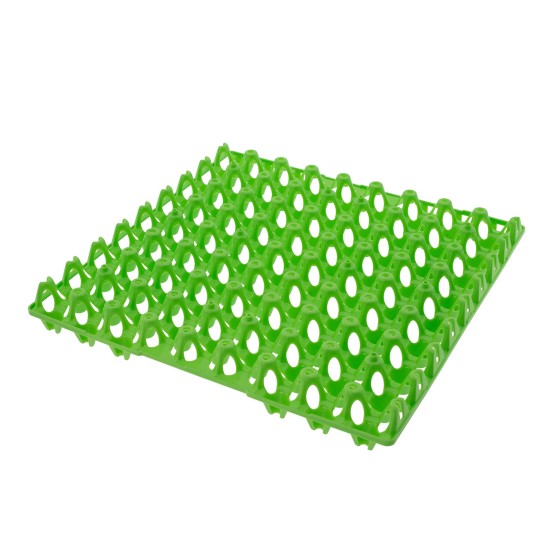 Quail egg tray 72 pieces