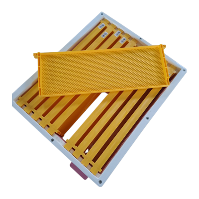 Plastic frame , langstroth