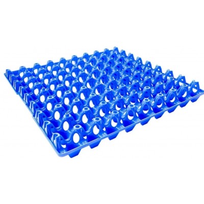 Quail egg tray 72 pieces