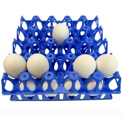 Egg tray for 20 goose and turkey eggs