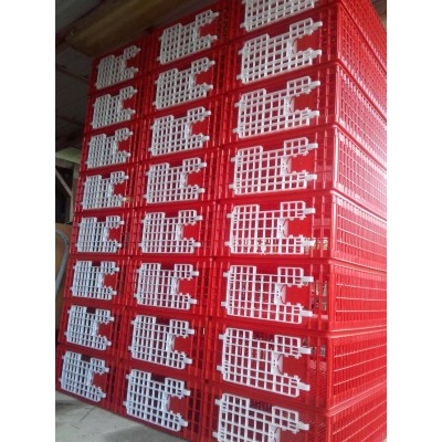 Poultry transport plastic crate