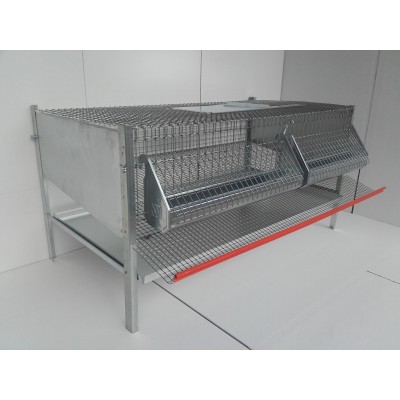 Quail cage 50 x 100 cm