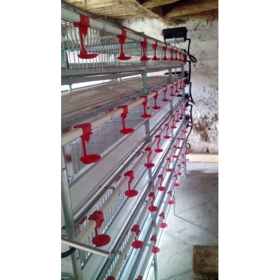 Quail cage with 5 levels of egg rolls