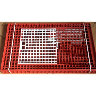 Poultry transport plastic crate