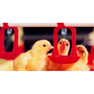 Drip tray, large